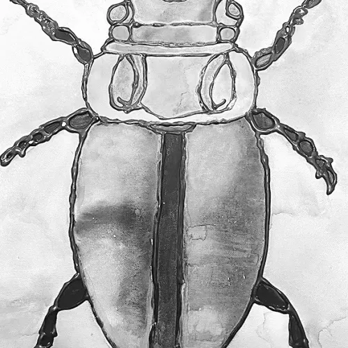 Watercolor project by Camila Ceja, a 2024-25 Art II eighth-grader at Rockdale Junior High.