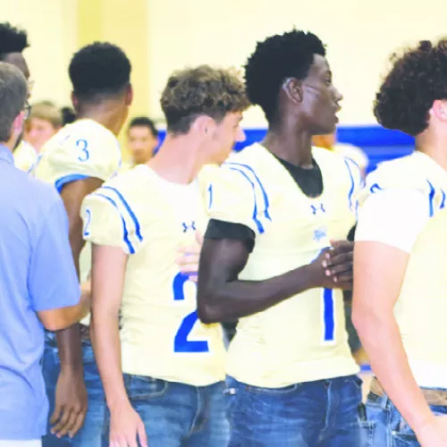 MEET THE TIGERS