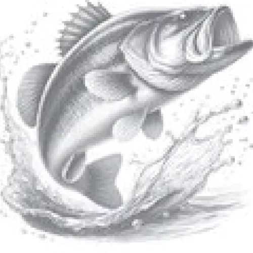 TEXAS PARKS & WILDLIFE FISHING REPORT