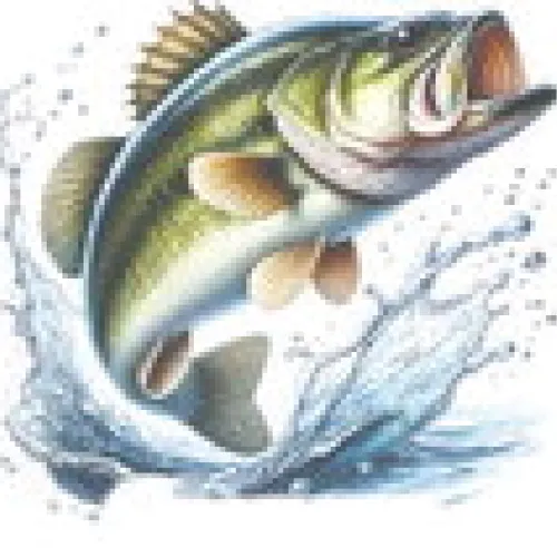 TP&W FISHING REPORT