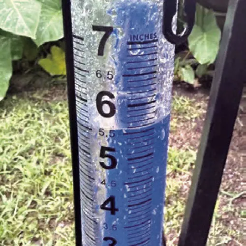 David Taylor of Rockdale sent in this photo of his rain gauge on Monday, which received 5.5 inches with weekend showers.