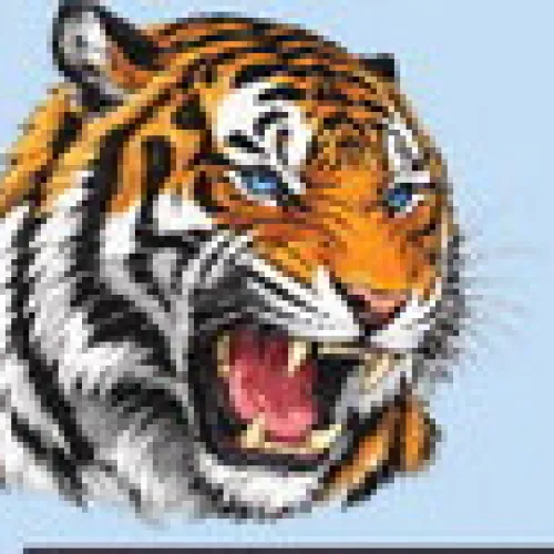 Meet the Tigers
