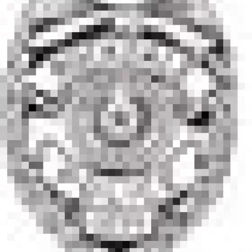 Alt Text for Image