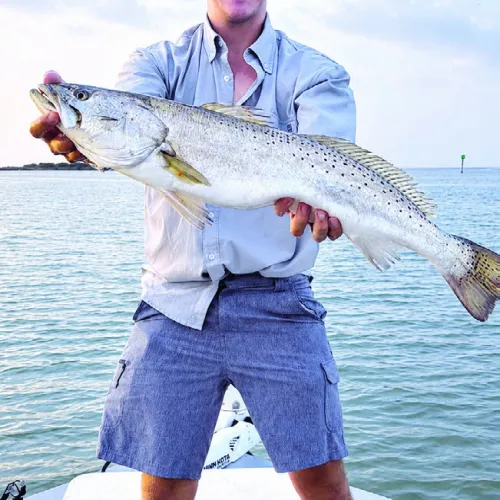 Coastal fishing success