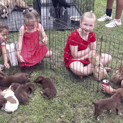 A BIG HIT— Rockdale Community Market held its first fair at Wolf Park on Saturday and these puppies from Rockdale Animal Shelter were a big hit with these girls. The market will be held each Saturday from 9 a.m. to 1 p.m.