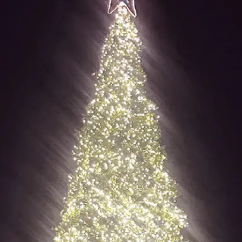 RDA Christmas Tree Lighting Nov. 20