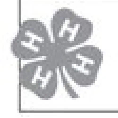 4-H, Cameron FMC youth to present holiday gift idea exchange Nov. 24th