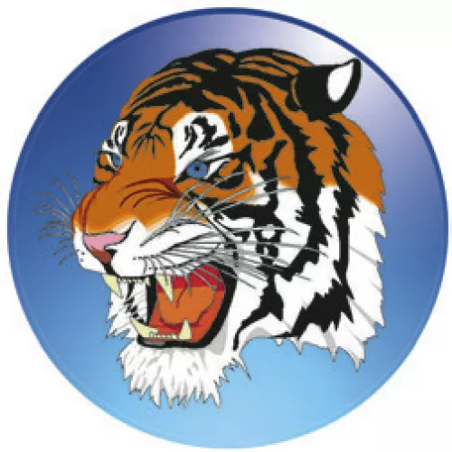 ROCKDALE BASKETBALL