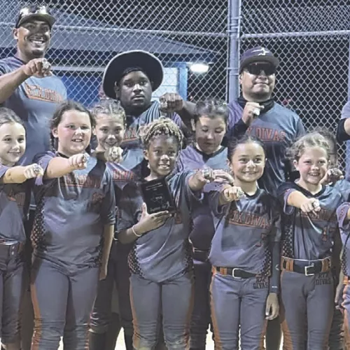 YOUTH BASEBALL/SOFTBALL