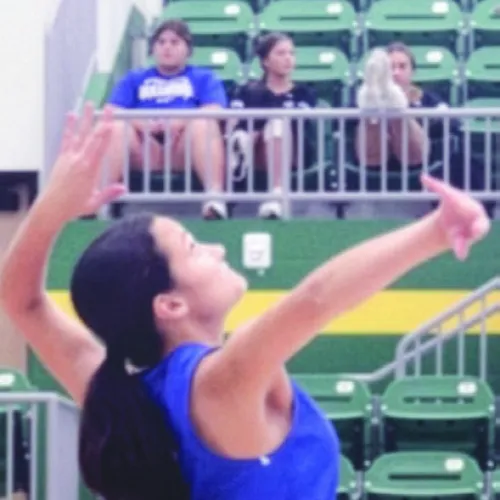 ROCKDALE VOLLEYBALL