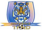 Soccer: 11 Tigers earn district honors