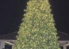 Christmas Tree lighting