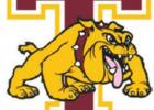 Thorndale falls short of state tourney