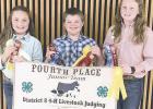 County 4-H’ers compete in District 8 contest