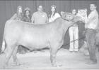 Rockdale Fair youth livestock show results