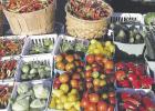 Farmers’ market promises to be a big hit