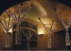 Winners listed in Chamber lighting contest