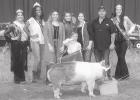 Rockdale Fair Livestock Show winners