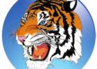 Tigers fly like an Eagle in second win
