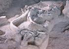 Waco offers mammoth finds for day-trippers