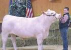 Milam County Junior Livestock Show 2021